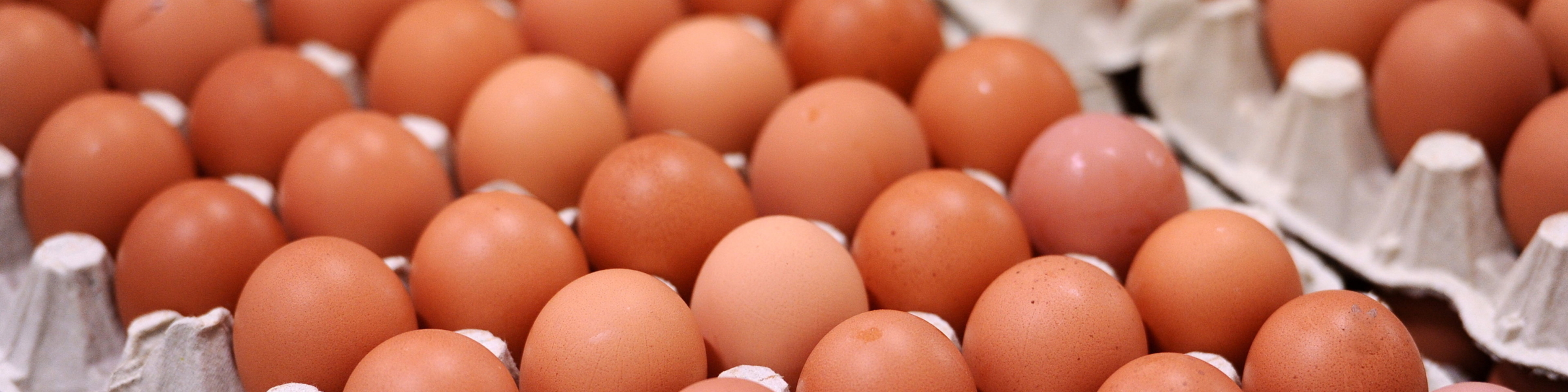 Food Processing Food Sanitation Chemicals Nyco