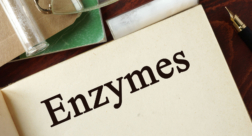 How Enzymes Clean - Simple Science