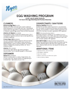Egg Washing-Thumbnail
