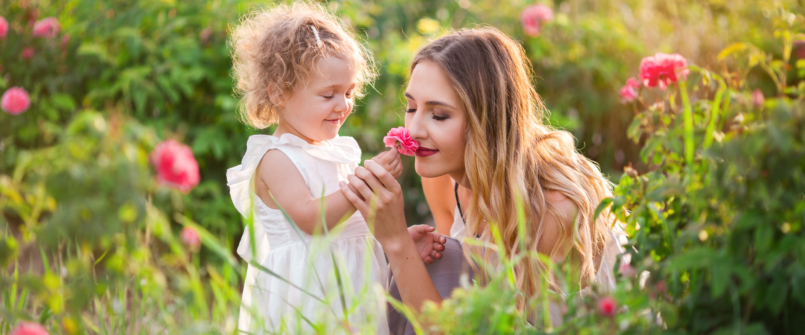 Simple Science of Smell